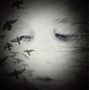 Meet your Posher, Robin